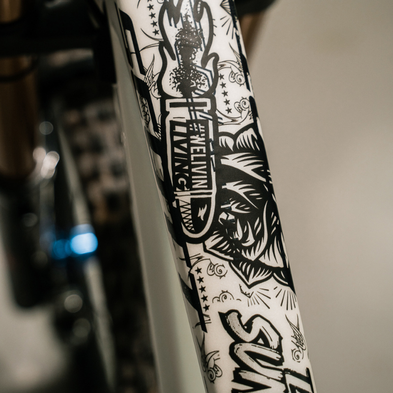Frame Skin Protector Ride and Destroy