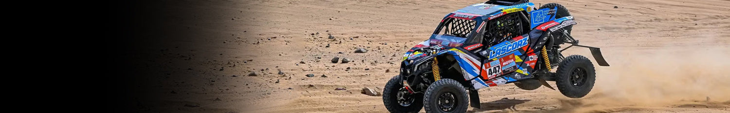 Buggy Graphics