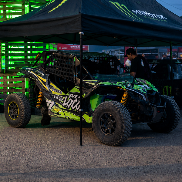 Buggy Graphics