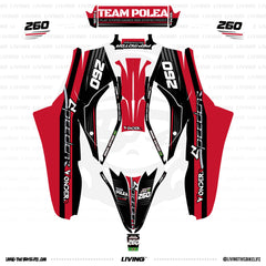 Speedcar Wonder-R Graphics Kit "Simple Plan"