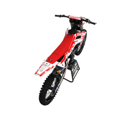 TS Replica Graphics Kit"Flames"