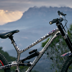 Frame Skin Protector Riddim