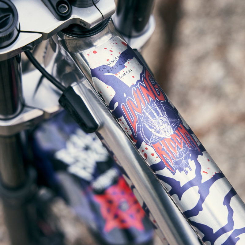Frame Skin Protector Riddim