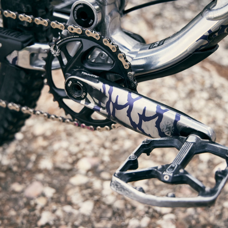 Frame Skin Protector Riddim