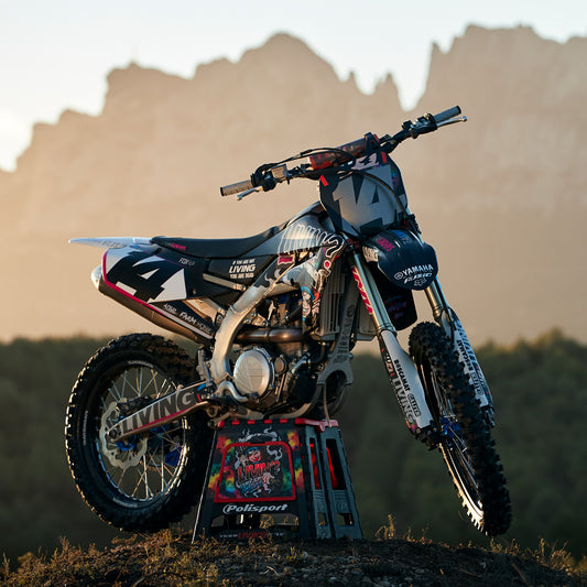 TS Replica Graphic Kit "Ripper"