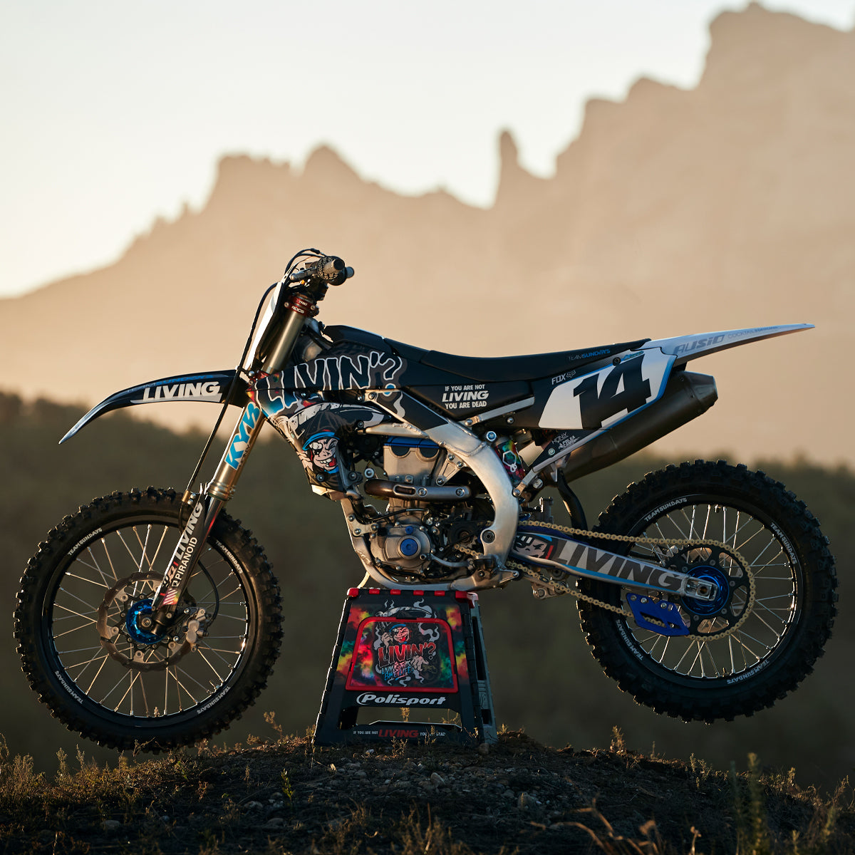 TS Replica Graphics Kit "Ripper"