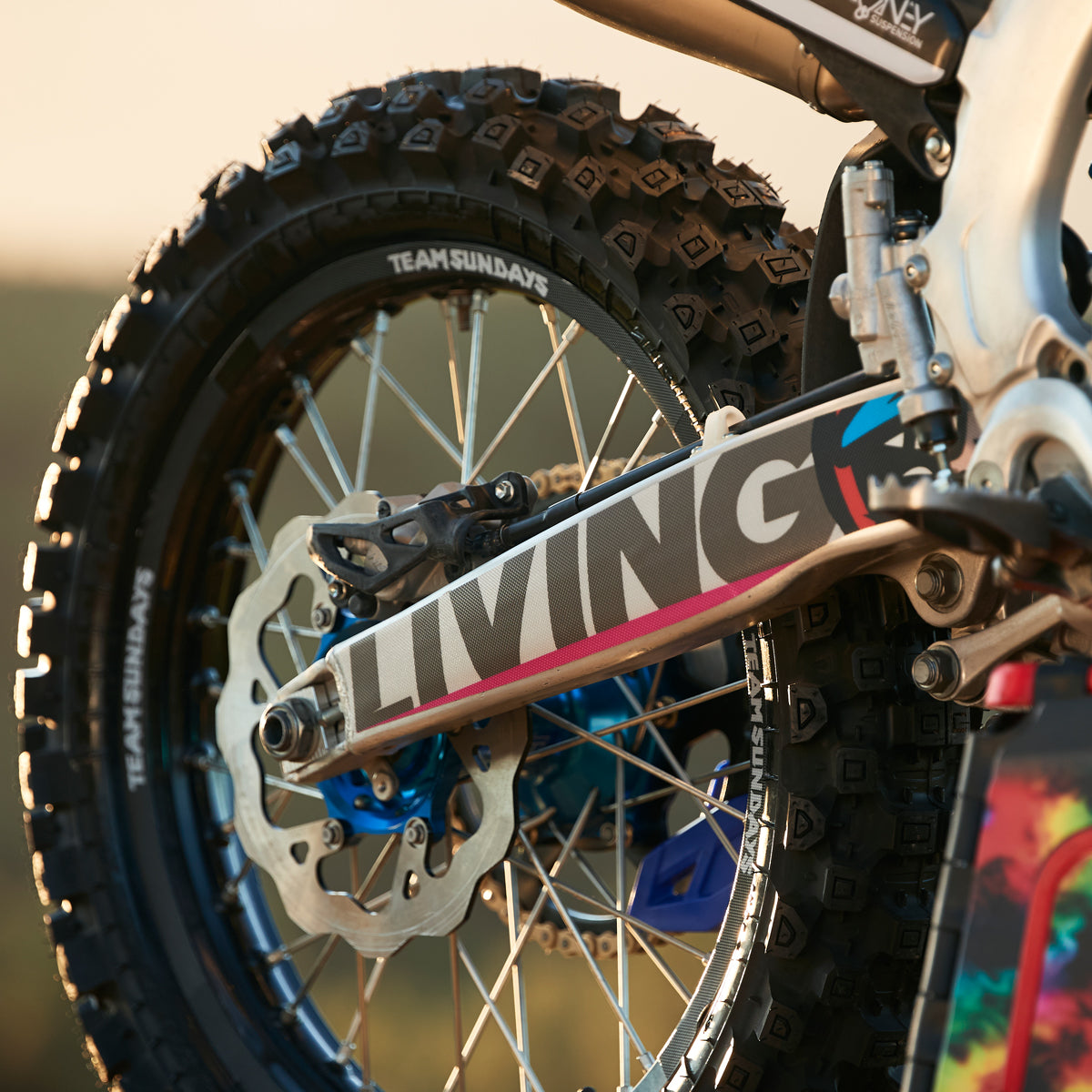 TS Replica Graphics Kit "Ripper"